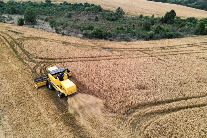 conjuntura agropecuaria 21 07 2023