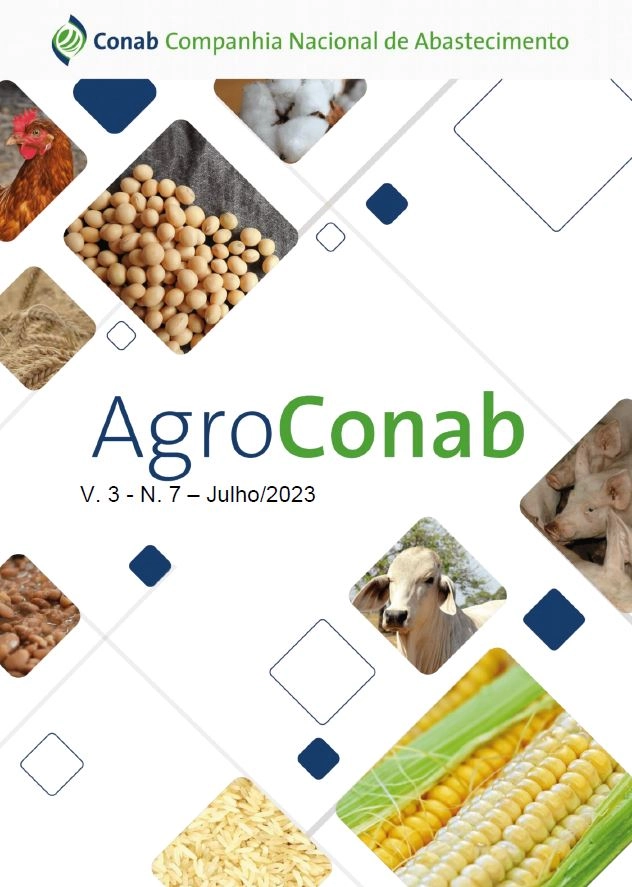 conab 31 07 2023