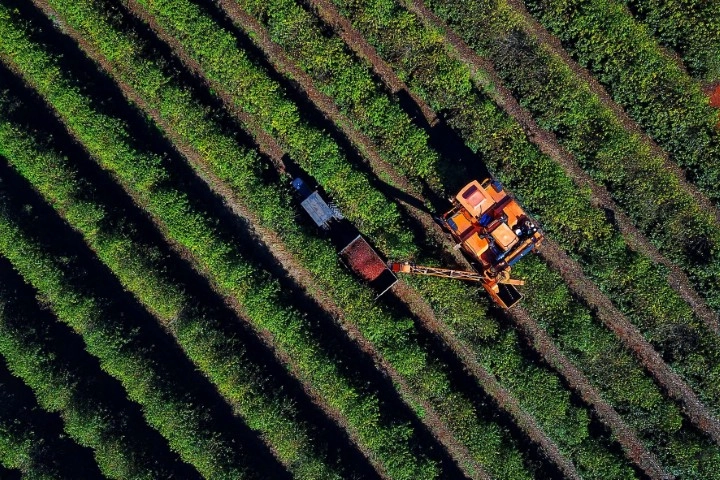 conjuntura agropecuaria 03 08 2023