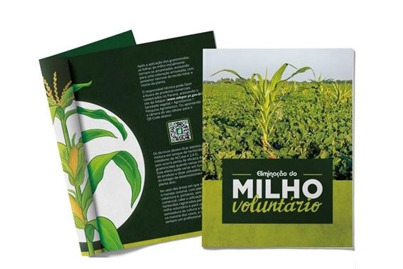 publicacao 03 08 2023