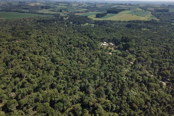 ORGULHO DA TERRA 2023: Com inclusão da erva-mate, Prêmio destaca boas práticas no campo