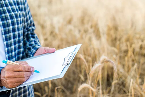 AGRO: Fique atento: Receita Federal inicia fiscalização de produtores rurais