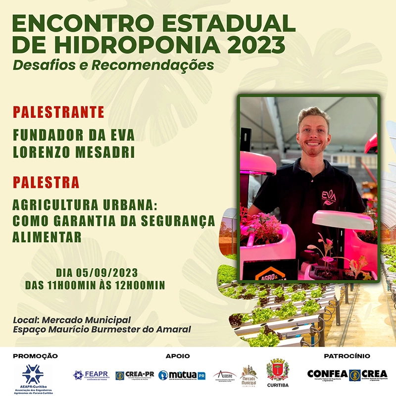 hidroponia 30 08 2023