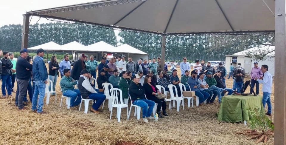 1agro cocamar dia de campo 05 09 2023