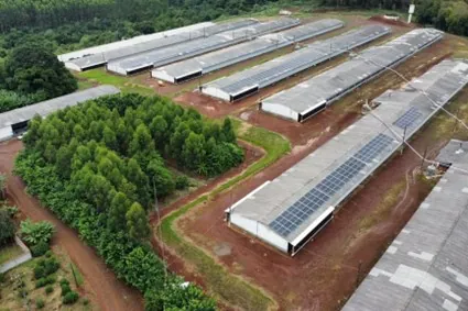 FOMENTO: BRDE financiou R$ 1,2 bilhão em projetos de energia limpa no Paraná desde 2019