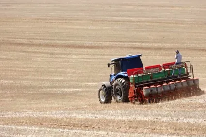 CONJUNTURA AGROPECUÁRIA: Após vazio sanitário, plantio de soja já começou no Paraná; colheita do milho está no fim