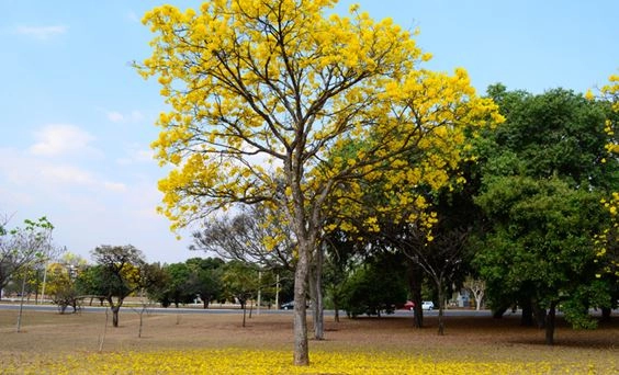 clima destaque 25 09 2023