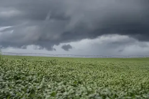 AGRICULTURA: Estado e municípios levantam os efeitos da chuva nas lavouras e estradas rurais