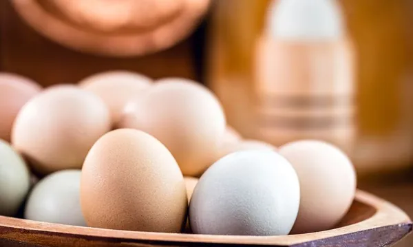 NOTA CONJUNTA: Reabertura do mercado japonês a produtos avícolas do Mato Grosso do Sul