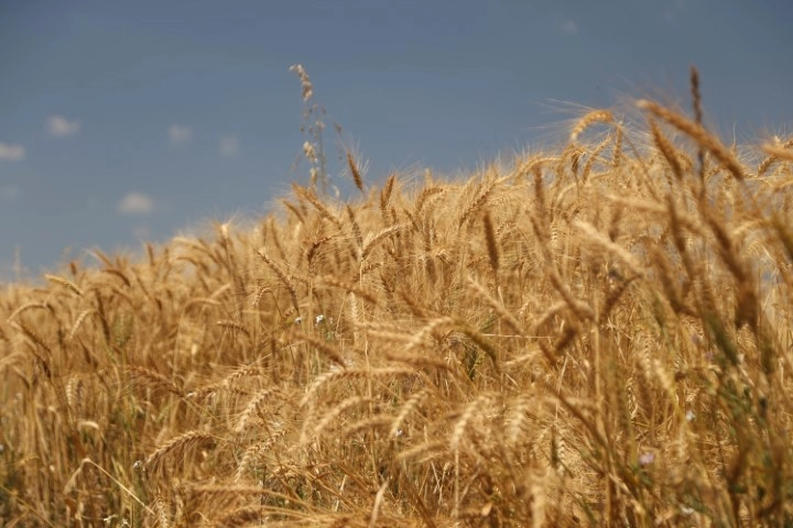 conjuntura agropecuaria 01 12 2023