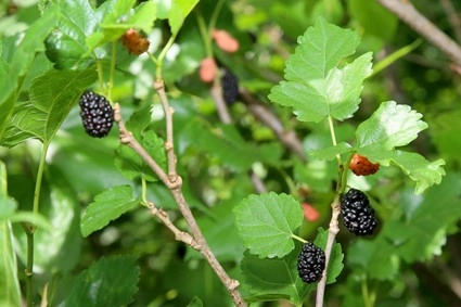 conjuntura agropecuaria 15 12 2023