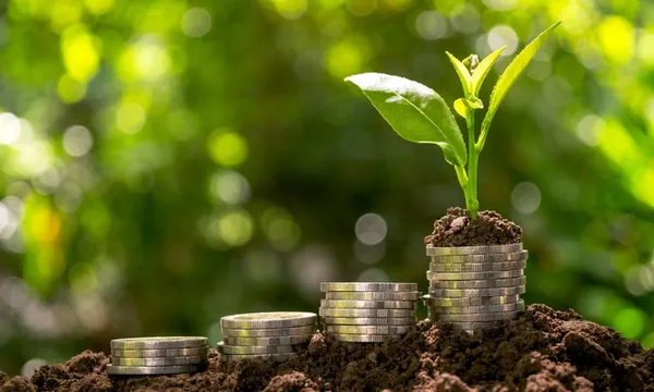 CRÉDITO RURAL: Valor aplicado chega a quase R$ 250 bilhões em seis meses do atual Plano Safra