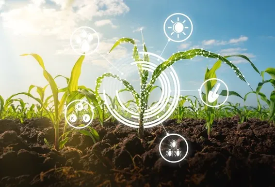 INOVAÇÃO: Mapa e Serpro celebram acordo de cooperação para a criação da Plataforma Digital de Inovação Agropecuária