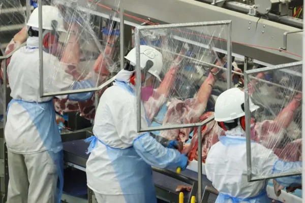 CEPEA: Carne suína amplia competitividade frente a concorrentes
