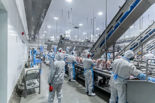 AGRO:  Levo Alimentos passa por inspeção para exportar aves para a China