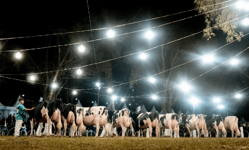 agro expoleite 30 01 2024