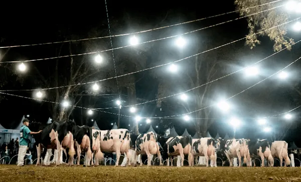 AGRO:  Expoleite Arapoti realiza sua 50ª edição em nova data