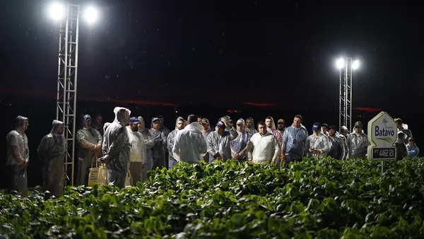 AGRO: Sementes Batavo, da Frísia, apresenta as principais cultivares das maiores obtentoras de soja do Brasil