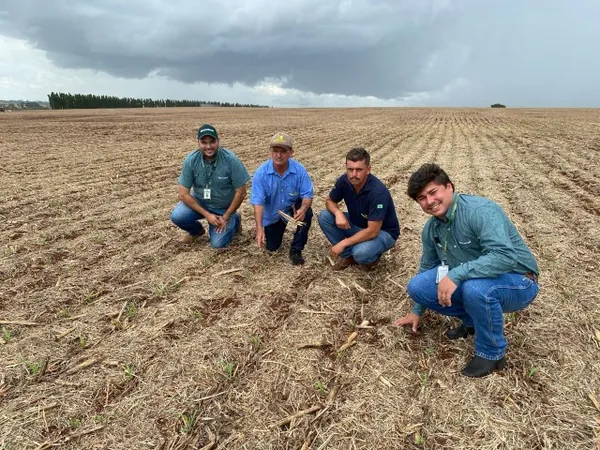 AGRO: Pai e filhos prosperando juntos em Sertanópolis