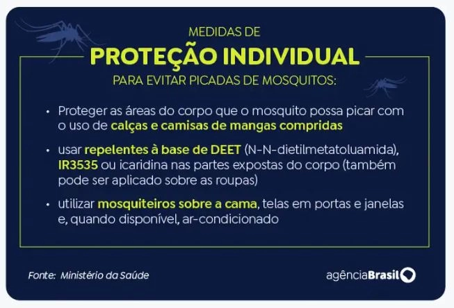 dengue quadro 20 02 2024
