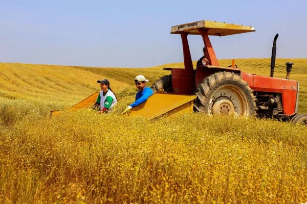 IPARDES: Paraná teve o maior crescimento da atividade econômica do Brasil em 2023
