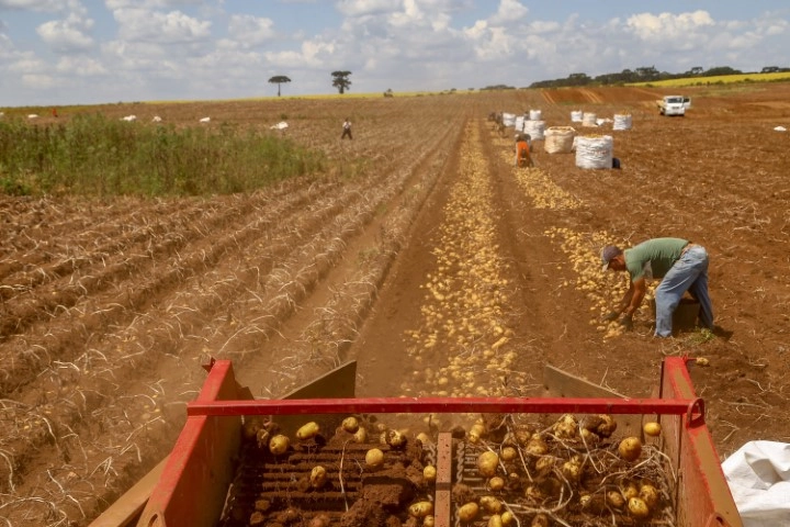 conjuntura agro 11 04 2024