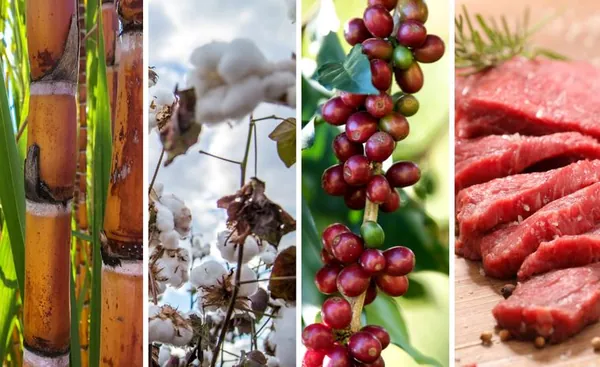 BALANÇA COMERCIAL: Exportações do agronegócio batem novo recorde para os meses de fevereiro e atingem US$ 11,63 bilhões