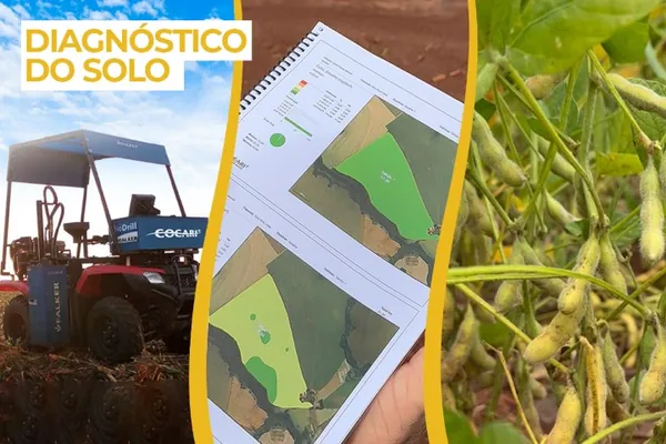 AGRO: Cooperado da Cocari garante: Diagnóstico Inicial de Solo aumenta produtividade da lavoura