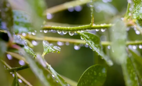 INMET: Como será o clima no Brasil em abril?