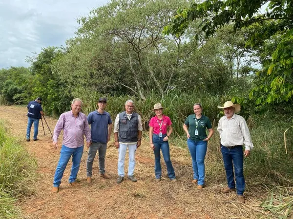AGRO: Na Fazenda Primavera, uma floresta produzida por mãos especiais 