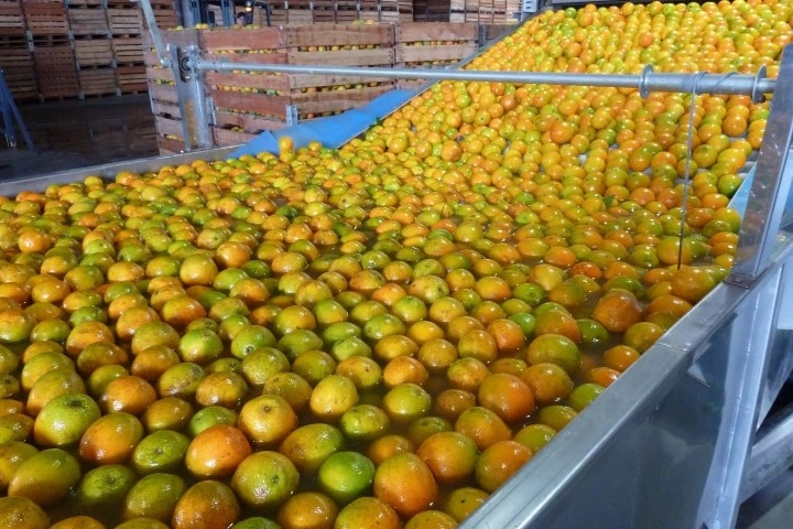conjuntura agro 05 04 2024