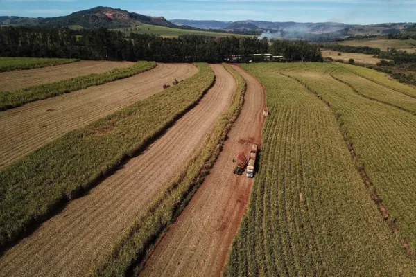 CONJUNTURA AGROPECUÁRIA: Paraná vai produzir 1,25 bilhão de litros de etanol na atual safra, aponta boletim