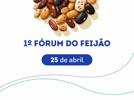 forum feijao 24 04 24