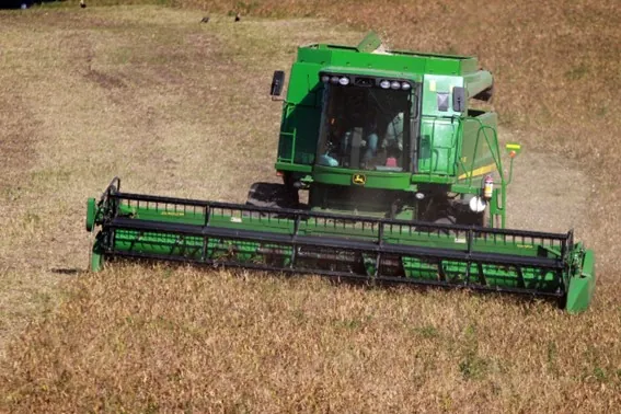 PREVISÃO: Paraná inicia colheita da segunda safra com perspectiva de recorde na produção de feijão