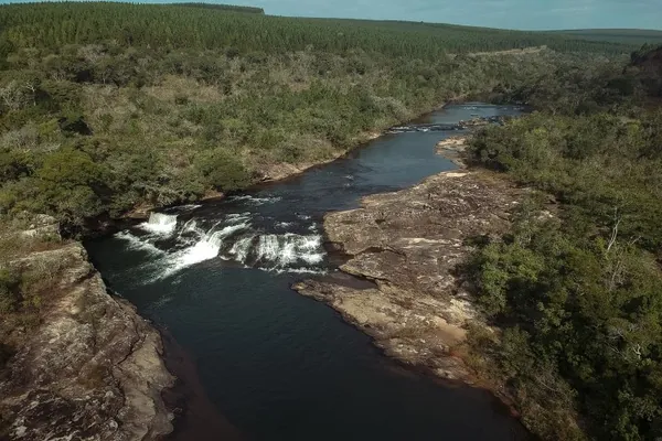 DESENVOLVIMENTO SUSTENTÁVEL: Conservação e educação ambiental abrem a agenda de maio dos CBHs do Paraná