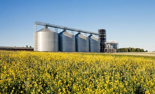 CRÉDITO RURAL: Em 10 meses, desembolso da safra 2023/24 chega a R$ 347,2 bilhões