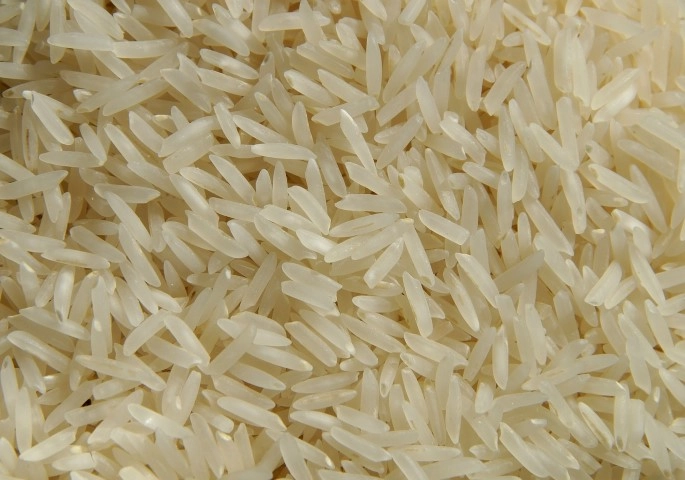 arroz 21 05 2024