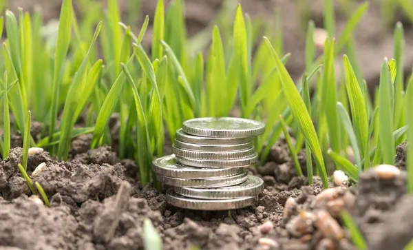 MAPA: Publicado Boletim de Finanças Privadas do Agro com informações de abril