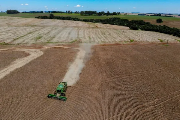 SAFRA: Paraná deve colher 646 mil toneladas de feijão, 34% a mais que em 2023