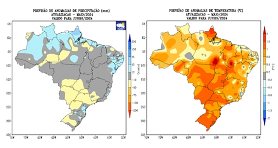Imagem1