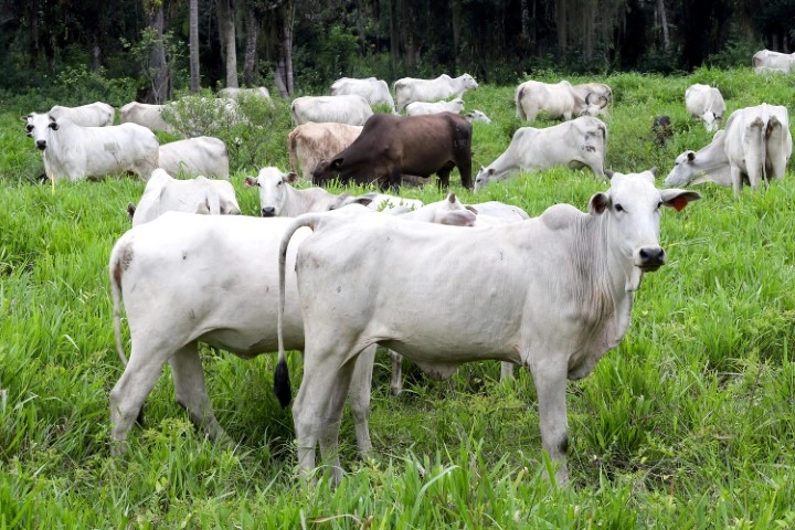 adapar 04 07 2024