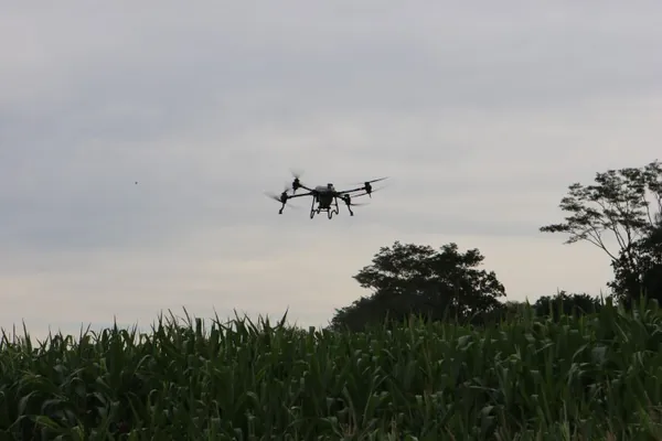 AGRO: Drone de pulverização proporciona equilíbrio entre rentabilidade e sustentabilidade