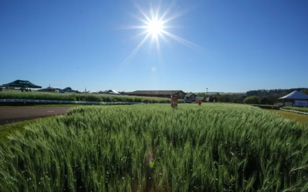 AGRO: Show Rural de Inverno vai ter 42 expositores na sua 5ª edição