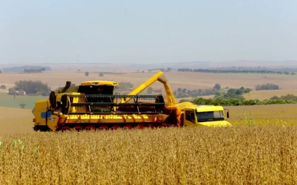 CONAB: Brasil deve produzir 299,27 milhões de toneladas de grãos na safra 2023/2024