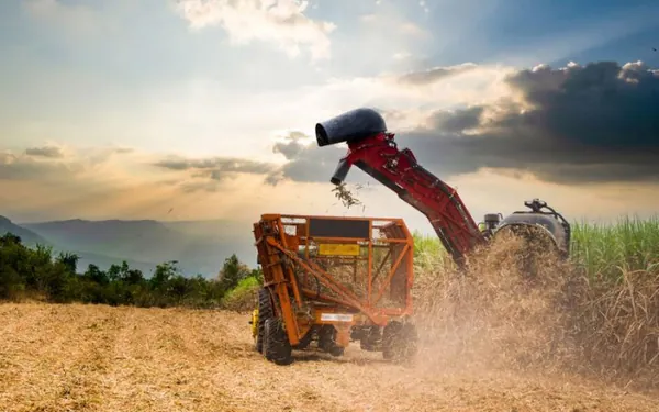 COMÉRCIO EXTERIOR I: Exportações do agronegócio brasileiro atingem US$ 15,20 bi em junho e US$ 82,39 bi no semestre