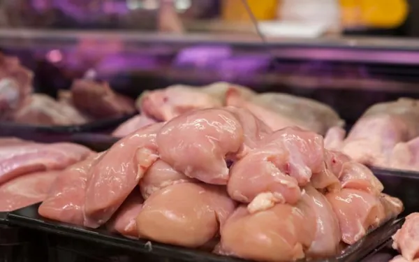 DEFESA AGROPECUÁRIA: Brasil suspende preventivamente as exportações de carne de aves e seus produtos