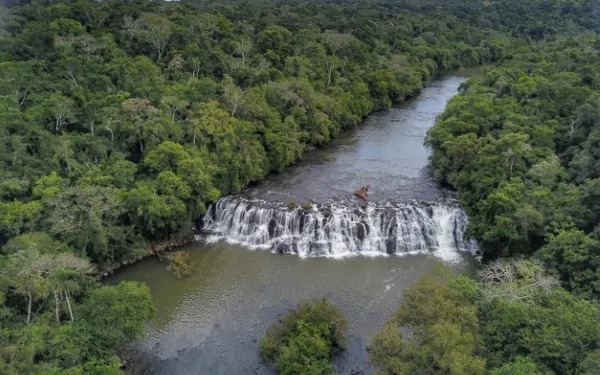 DESENVOLVIMENTO SUSTENTÁVEL: Mata ciliar aumenta 12% no Paraná com proteção de nascentes e plantio de mudas