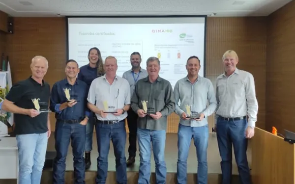 AGRO: Cooperados da Frísia recebem certificação para produção de milho sustentável