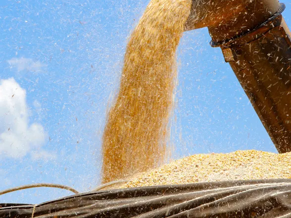 Produção de grãos deve chegar a 298,6 milhões de toneladas na safra 2023/2024
