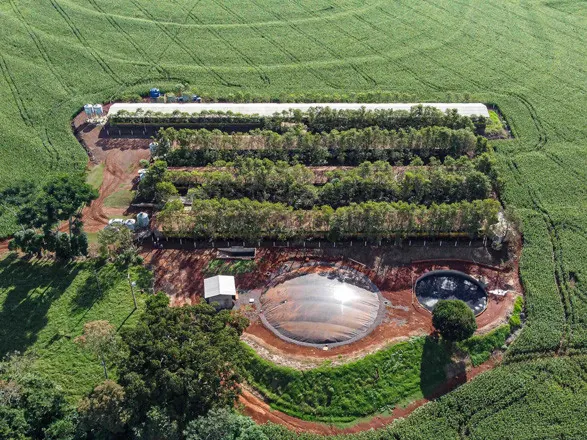 Produção de biogás a partir da suinocultura gera renda extra para produtores do Paraná